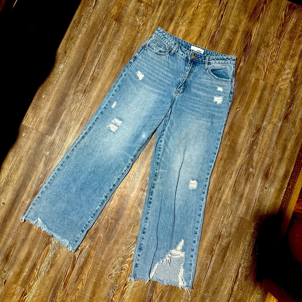 Vervet crop wide leg